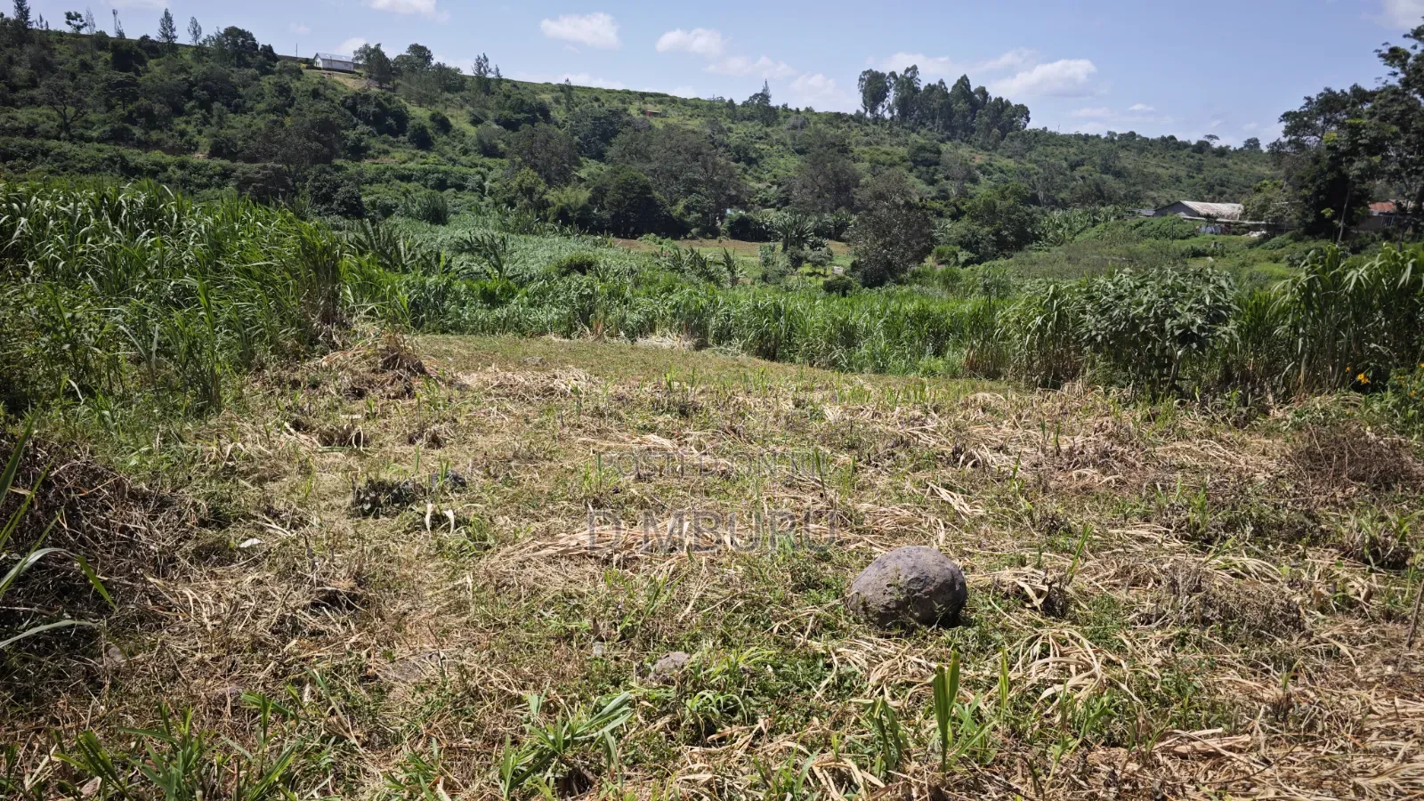 Thika Town Commercial Plot
