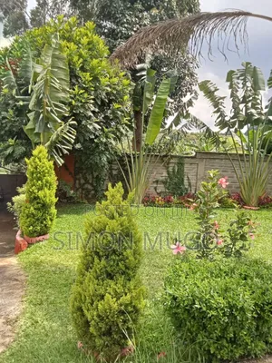 Kiambu Cianda Prime 1/2:Acre With A 3br And Perimeter Wall Ready Title