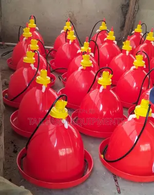 Bell Drinkers