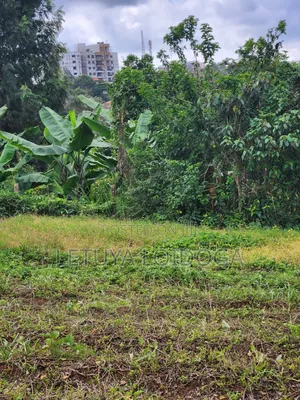 (6) 1⁄4 Acre Plots Ngong-Zambia