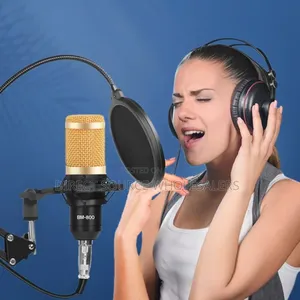 Original Bm800 Podcast Microphone for Youtube Live Streaming