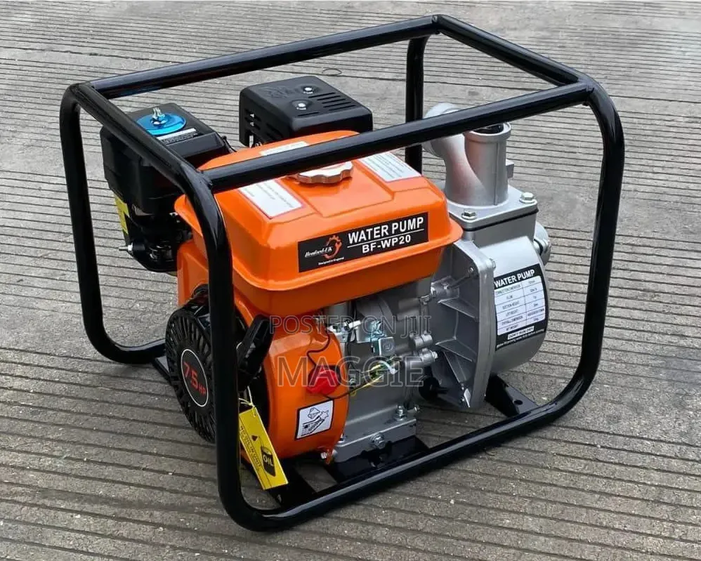 Benford-Uk Petrol Wp 2" 7.5 Hp