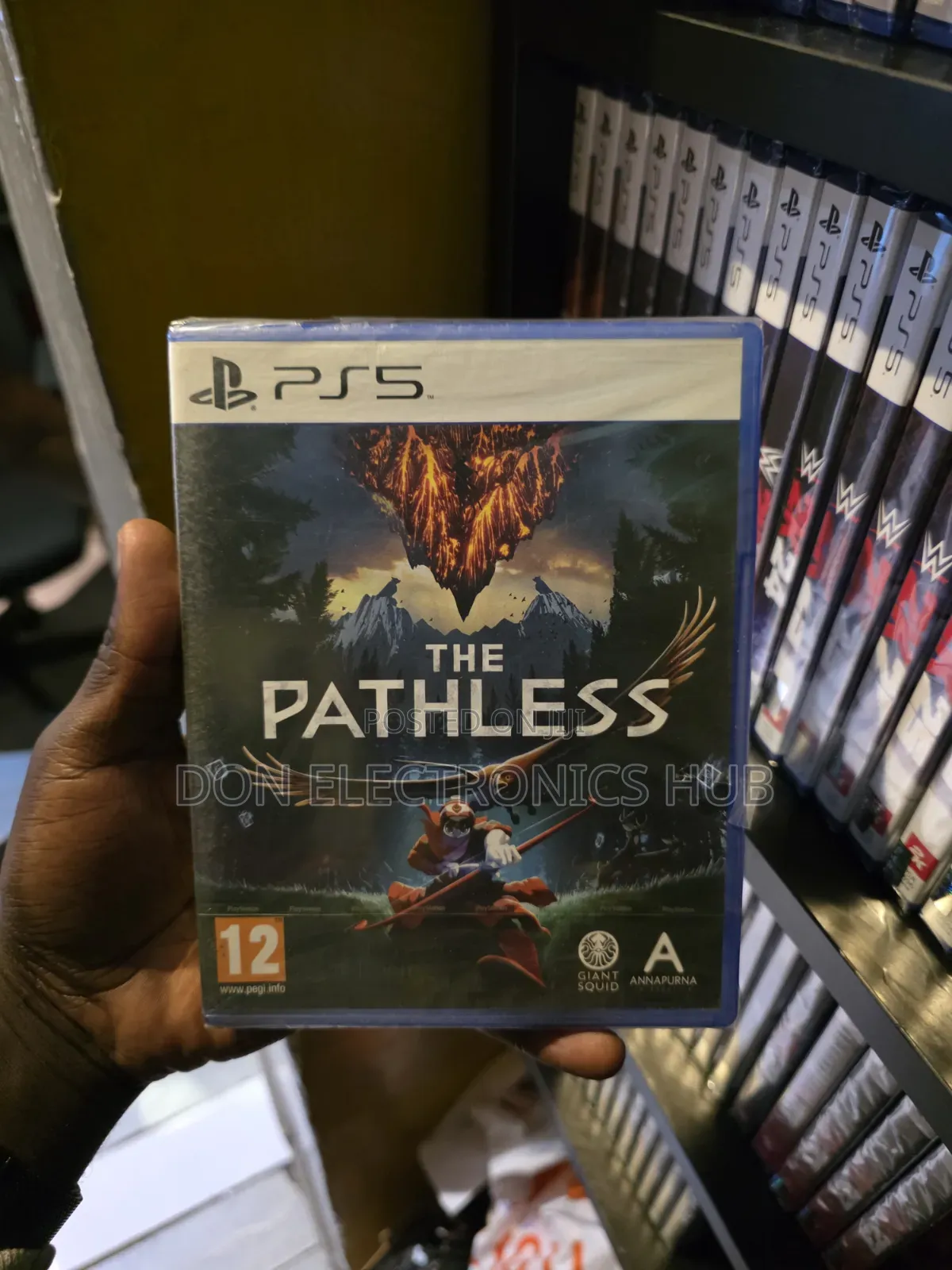 Ps5 the Pathless