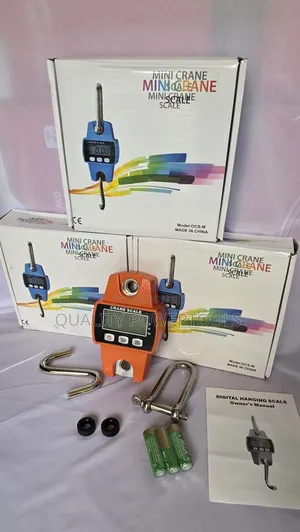 Trusted 300 Kg Mini Crane Scale