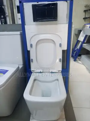 Concealed Cistern Plus Toilet