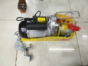 Cargo Hoist 1t