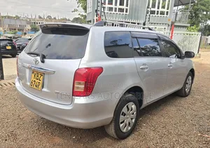 Toyota Corolla Fielder 2007 Silver
