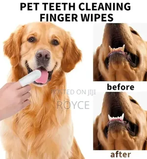 Pet Teeth Cleaning Finger Wipes