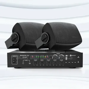 Two-Zone for Bluetooth Speaker Set Wall Hanging Audio Power Amplifier