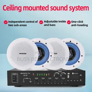 Two-Zone Constant Pressure Amplifier Ceiling Speaker