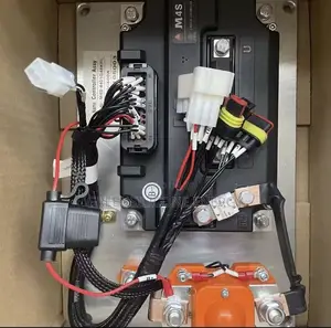 Electric Vehicle (Ev) Repair