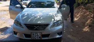 Toyota Mark X 2011 Gray