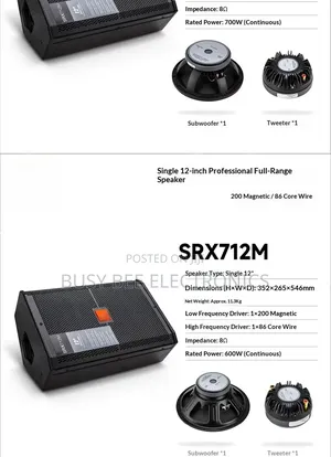 Single 12-Inch Professional Audio Speaker