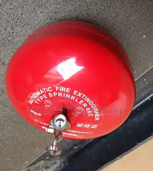 Automatic Fire Extinguisher Dcp 6kg
