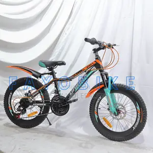 Century 20 Inch Kids Bike – Durable Everyday Bicycle