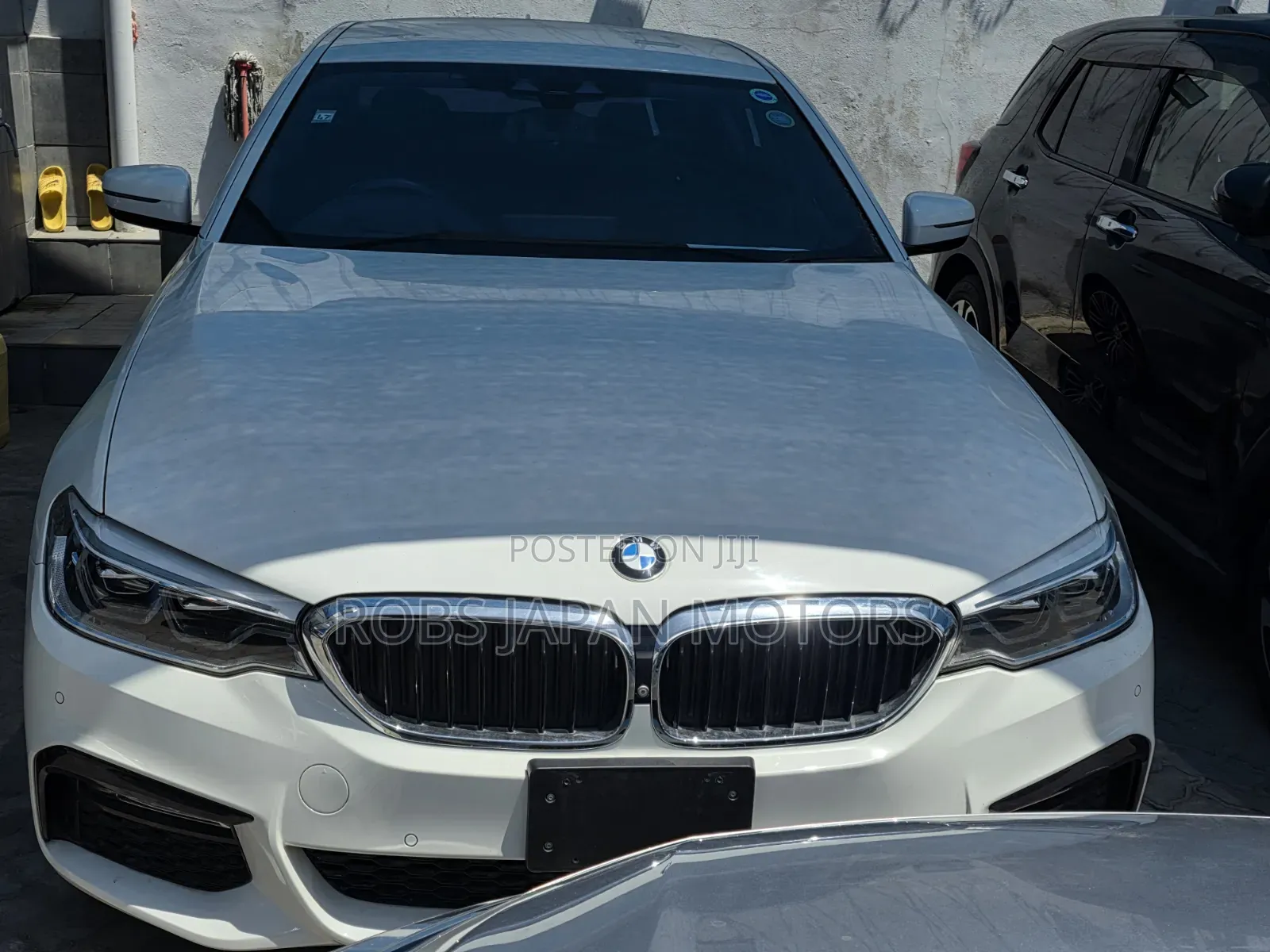 BMW 523i 2019 Pearl