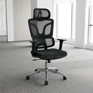 Orthopedic Office Chair.