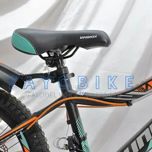 Premium Century Kids Bicycle – Durable Size 20 Bike