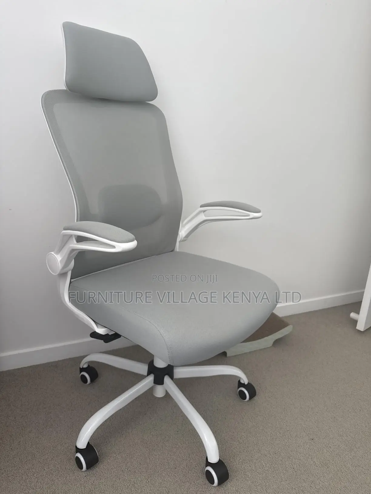 Ergonomic Home Chair.
