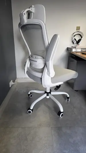 Ergonomic Home Chair.