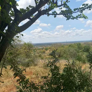 Taita Taveta Massive Farm