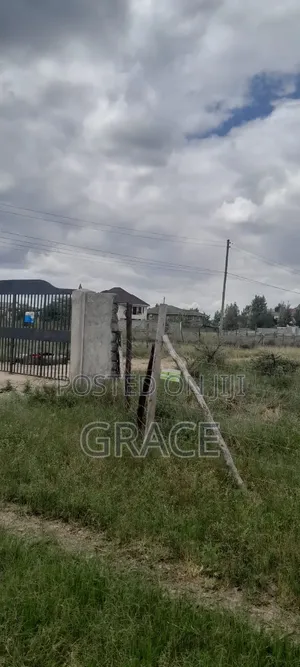Katani Prime Plots