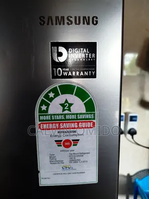 Gas Fridge Smart Inverter Repair Technician
