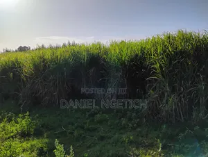 Prime 4 Acres Kimuri Uasin Gishu County(Eldoret City)