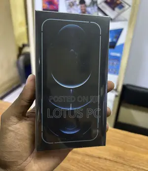 New Apple iPhone 12 Pro 256 GB Gray