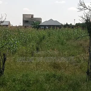 40 by 60 Ft Plot on Sale at Joska
