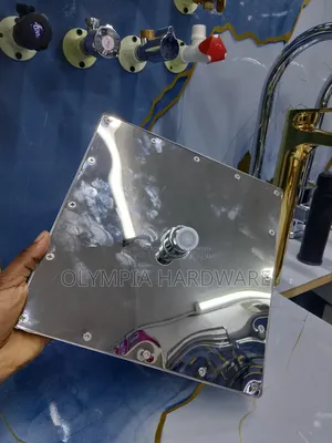 Silver Shower Head 9 Inches