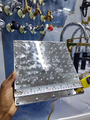 Silver Shower Head 9 Inches