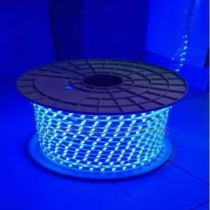 Led Rope Lights in Blue