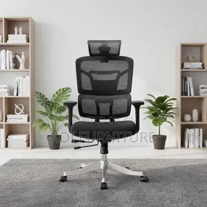 Office Chairs; Superior Executive Suportive Orthopedic Office Chairs