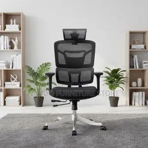Office Chairs; Orthopedic Ergonomic Office Chair With High Support
