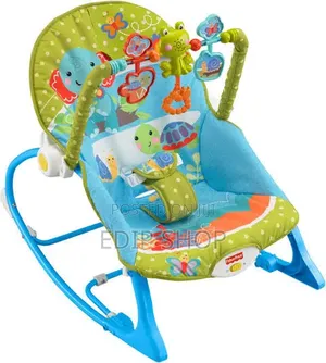 Infant To Toddler Baby Rocker