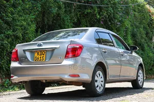 Toyota Axio 2017 Gray