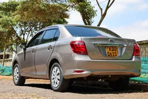 Toyota Axio 2017 Gray