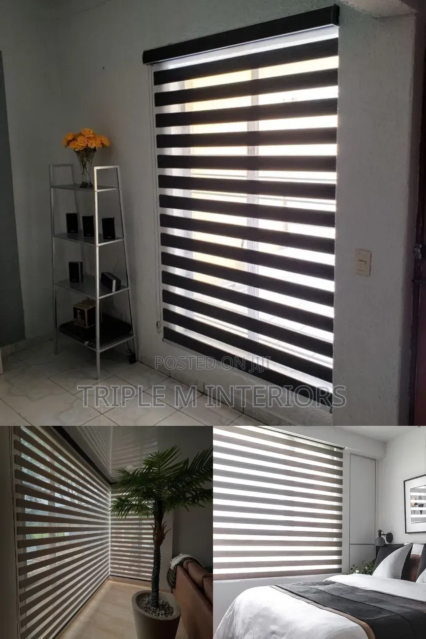 Panoramic Window Zebra Rollers