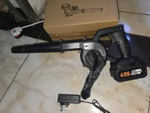 Cordless Dust Blower