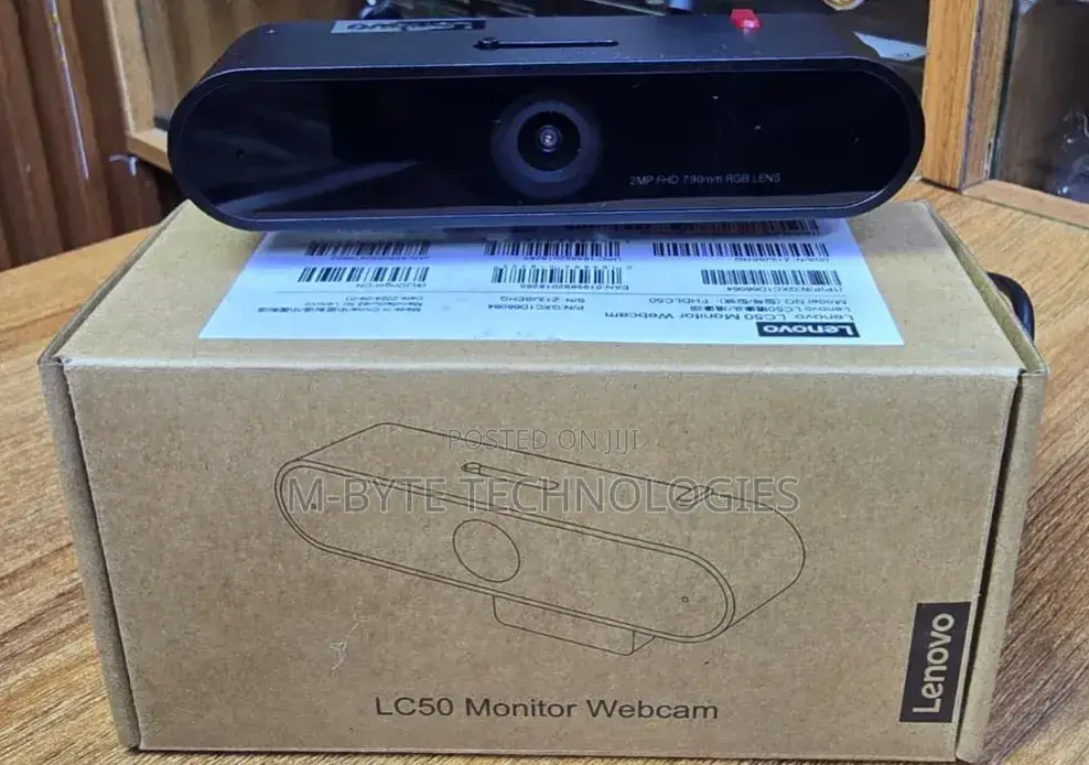 Monitor Webcam