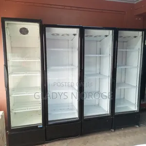 Show Case Chiller (Well Maintained) 650l