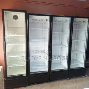 Show Case Chiller (Well Maintained) 650l