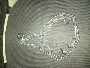 Training Prong Collar