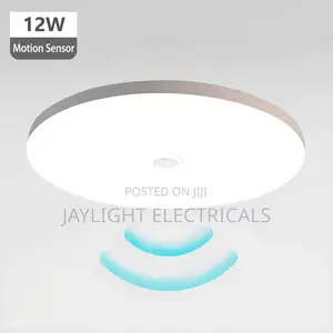 Outdoor Motion Activated Sensor Detector Switch Ceilinglight