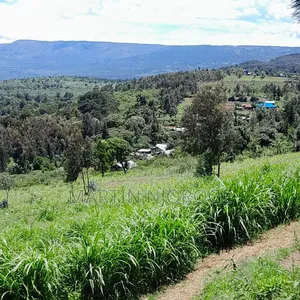 3 Acres Gitithia