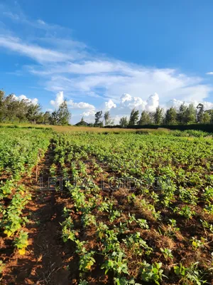 Prime 3 Acres on Sale Ngong-Kibiko