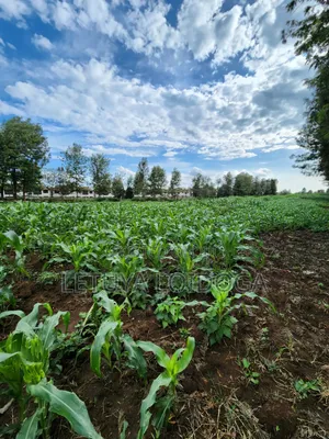 Beautiful 2 Acres Ngong-Kibiko(Chavara)