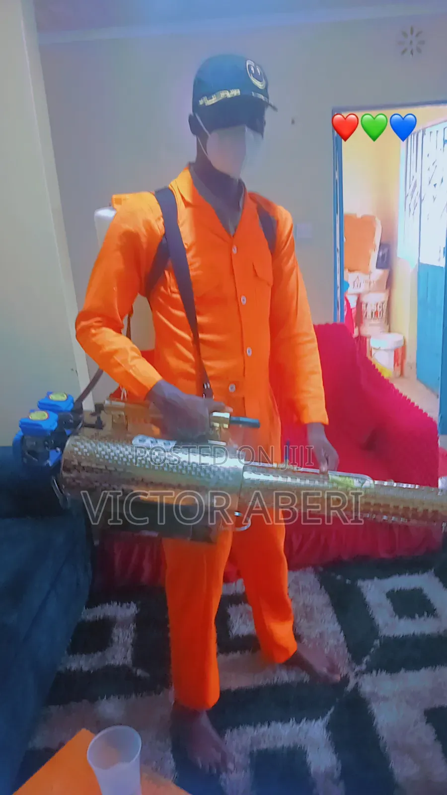 We Offer Fumigation Services Under Professional Services Any Time