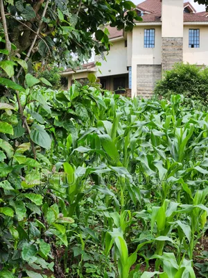 A Prime 1⁄2 Acre Ngong Lemiso Road